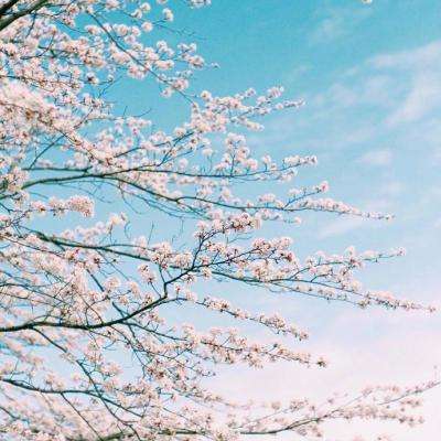 银河棋牌app下载