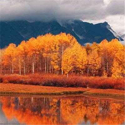 澳门新葡萄新京8883app下载