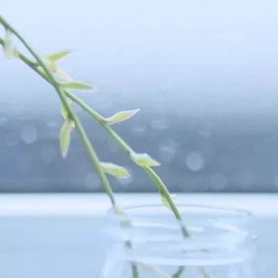 经典牛牛下载手机版