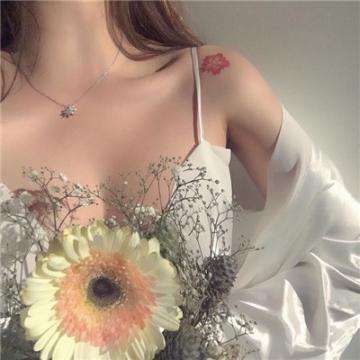 一肖三码下载手机版