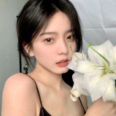 诺亚体育app下载安装手机版最新