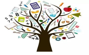 6的序数教案5篇