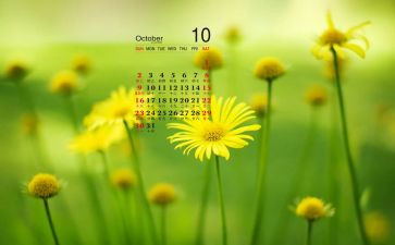 10月物业工作总结5篇