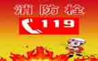 小班幼儿119活动方案优秀5篇