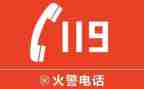 小学119活动总结精选5篇