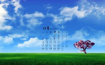 2023年12月月计划5篇