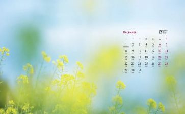 大班12月工作计划月计划7篇