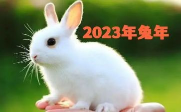 2023年党校培训心得体会范文5篇