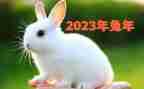 2023珠宝节活动方案推荐7篇