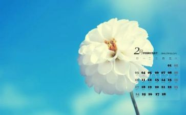 幼儿园中班2月份工作计划5篇