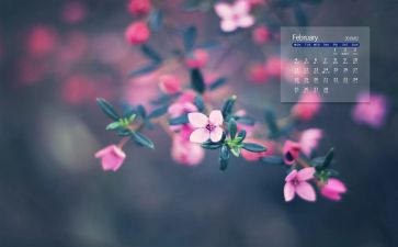 2023年大班2月计划8篇