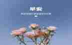 预备思想汇报2024年3月思想汇报5篇