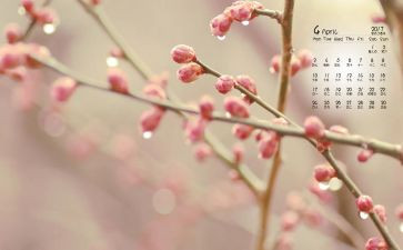 中班2023年4月份月计划8篇