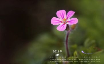 2023年4月小班月计划7篇