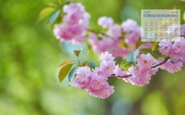 销售4月份工作总结5篇