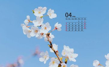 2024年4月卫生月总结推荐5篇