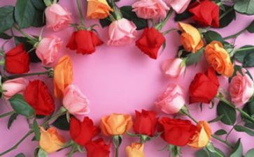 幼儿园520活动教案5篇