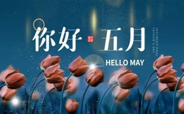 5月工作计划优质7篇
