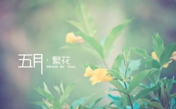 护理5月工作计划8篇