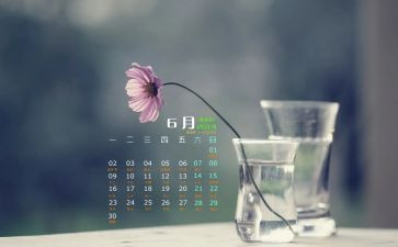 6月份月计划精选6篇