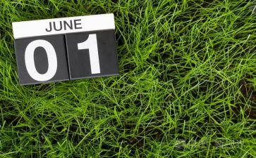 幼儿园2024年6月总结7篇