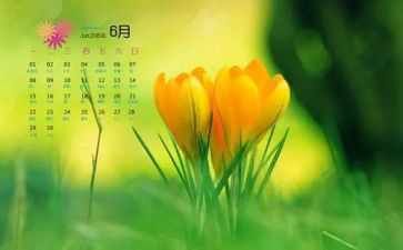 6月策划活动方案7篇
