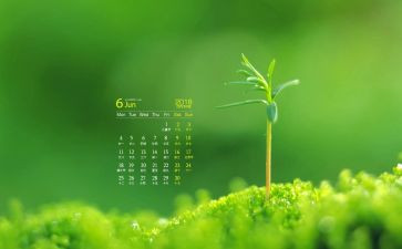 6月份幼儿工作计划7篇