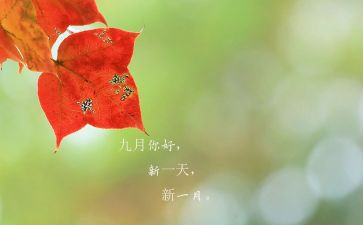 2023年中班9月份月计划6篇