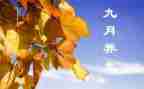 2023年9月份中班月计划5篇