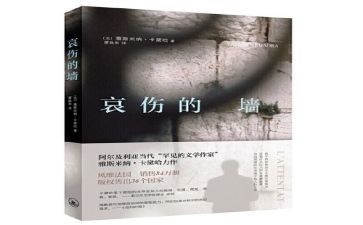 有关哀的作文参考8篇