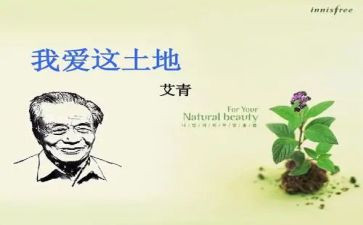 艾青诗选浪的读后感优质8篇