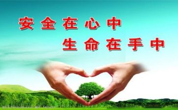 安全作文800字6篇
