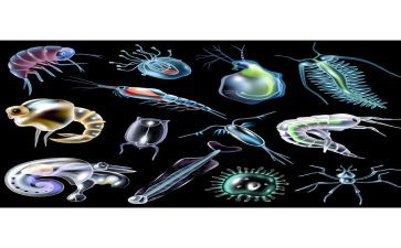 高中生物教学心得体会5篇