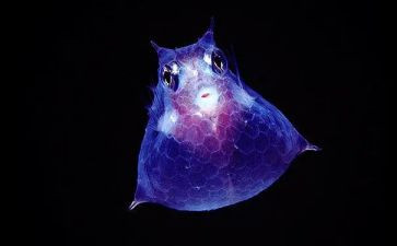 生物工作计划通用6篇