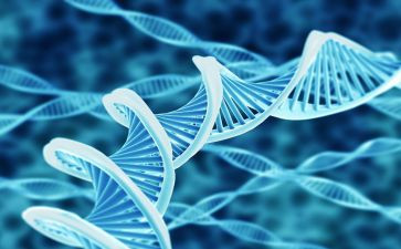 522生物多样性活动方案7篇