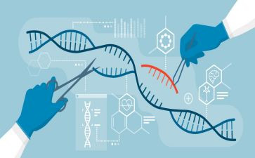 高中生物教师教学心得体会5篇