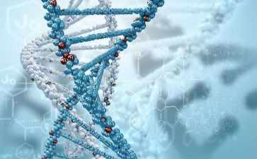 生物组教研工作计划精选7篇