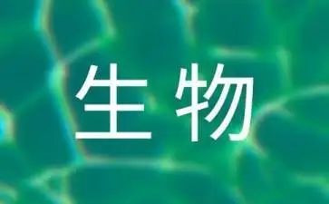 生物组工作计划最新7篇