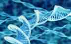 522生物多样性活动方案7篇