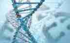 生物组教研工作计划精选7篇