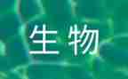 学校生物实验工作计划6篇