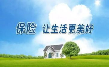 保险公司年工作计划通用7篇