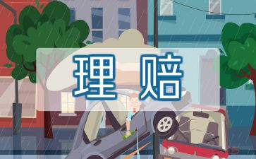 保险公司个人总结报告模板8篇