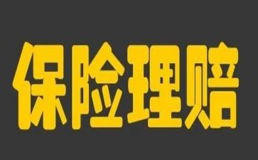 保险公司的个人总结推荐8篇
