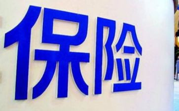 保险公司的个人总结通用6篇