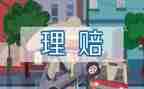 保险公司个人总结报告模板8篇