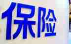 保险公司的个人总结通用6篇