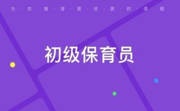 保育述职述职报告推荐8篇