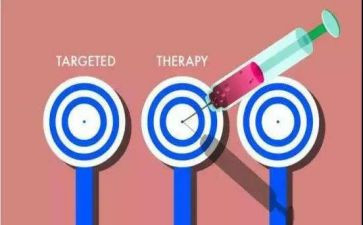 靶向培训总结报告精选5篇