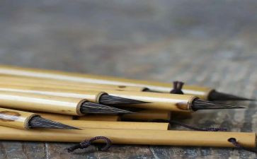 随笔作文300字7篇